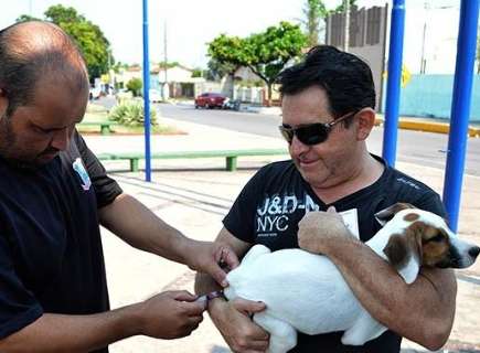 Corumbá tem 29 casos de raiva em cães; 23 mil animais foram vacinados