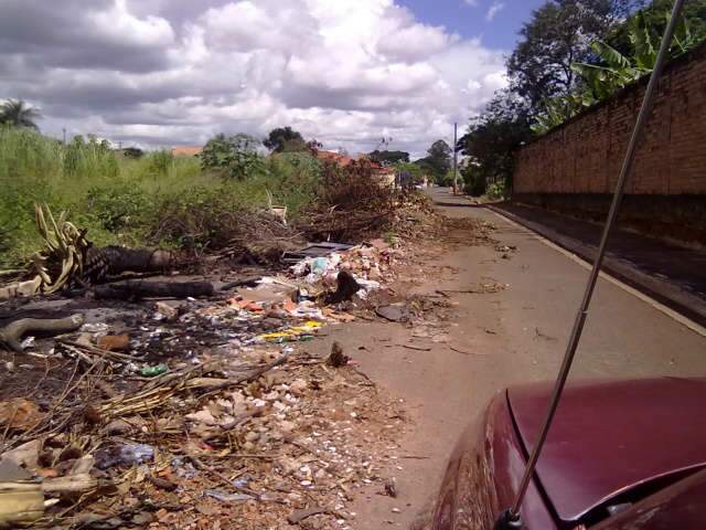  Leitor registra descaso: Rua fica tomada por lixo no bairro Planalto