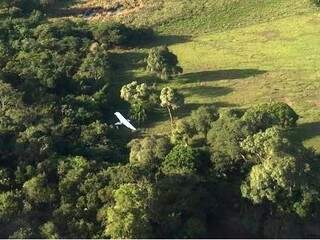Avião foi encontrado pela Polícia na mahã desta terça-feira (19) (Foto: Site Porã News)