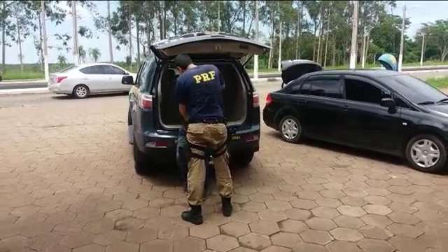 For&ccedil;a tarefa resulta na apreens&atilde;o de 480 kg de maconha