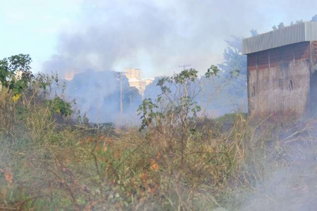 Bombeiros j&aacute; combateram mais de 3 mil queimadas em MS em 2017 