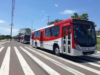 Novos ônibus do transporte coletivo (Foto: Mayara Bueno)
