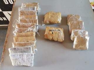 C&atilde;es farejadores encontram haxixe, maconha e coca&iacute;na em painel de carro