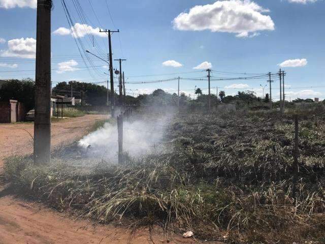 Inc&ecirc;ndio consome matagal em terreno baldio e causa transtorno a vizinhos