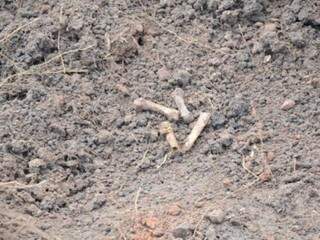 Partes da ossada encontrada enterrada no terreno. (Foto: O Pantaneiro) 