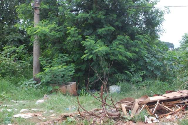 &Aacute;rea onde era Portelinha est&aacute; tomada pelo mato, lixo e j&aacute; surge uma nova favela