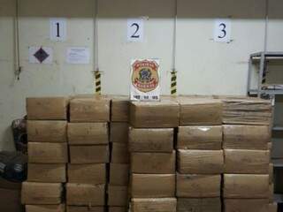 Caminhoneiro preso pela PF levava 4 toneladas de maconha para a Bahia Caminhoneiro preso pela PF levava 4 toneladas de maconha para a Bahia
