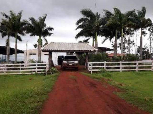 Ag&ecirc;ncia antidrogas do Paraguai ca&ccedil;a bandidos de fac&ccedil;&otilde;es na fronteira
