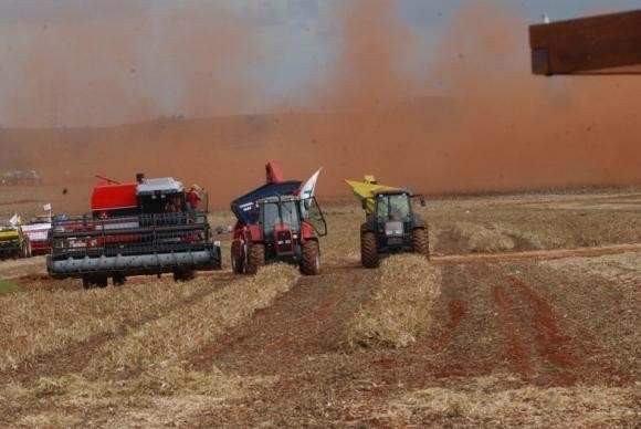 Safra recorde de gr&atilde;os aumentar&aacute; em volume e &aacute;rea plantada no ano