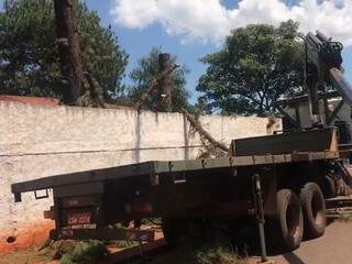 Caminhão utilizado para fazer o corte e retirada das árvores. (Foto: Henrique Kawaminami)