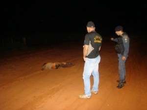 Advogada de fazendeiro suspeito de matar &iacute;ndio diz que ele vai se apresentar 