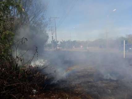 Incêndio de característica criminosa queima 2km de vegetação e fecha trânsito