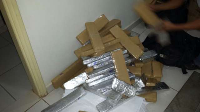 PF apreende 300 kg de droga escondidos em ba&uacute; de caminh&atilde;o frigor&iacute;fico 