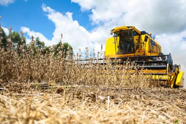 Produ&ccedil;&atilde;o agr&iacute;cola cresce 9,4% e deve chegar a 14,9 milh&otilde;es de toneladas