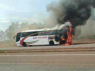 Ônibus pegou fogo quando ia para Dourados na BR-163 (Direto das Ruas)