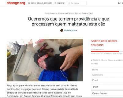 Tortura de cadelinha causa comoção e internautas pedem punição de agressor