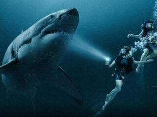 Filme de suspense com tubarão se passa no nordeste brasileiro. (Foto: Divulgação)