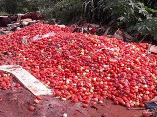 Montanha de tomates jogados na Rua Marquês de Herval, no Bairro Nova Lima (Foto: Direto das Ruas)