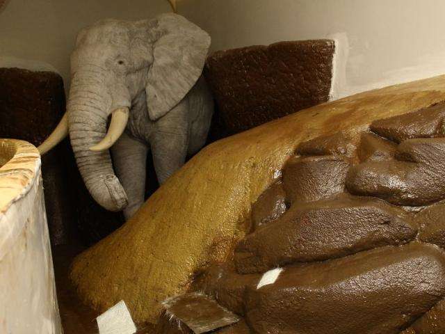 Espanh&oacute;is viajam para renovar visto e deixam obra do Aqu&aacute;rio lenta