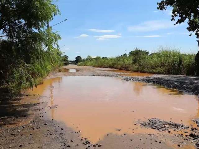 Lagoas de lama: rua sem asfalto em bairro deixa moradores ilhados