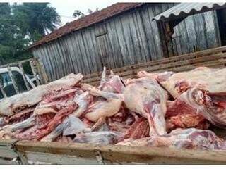Boa parte das apreensões foi de carne bovina imprópria para consumo. (Foto: Divulgação/Policia Civil) 