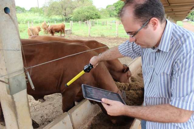 Mato Grosso do Sul gerou 35 empregos com carteira assinada em junho