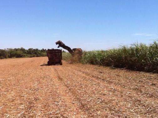 Valor produzido pelo campo deve crescer 5% e chegar a R$ 26,5 bilh&otilde;es