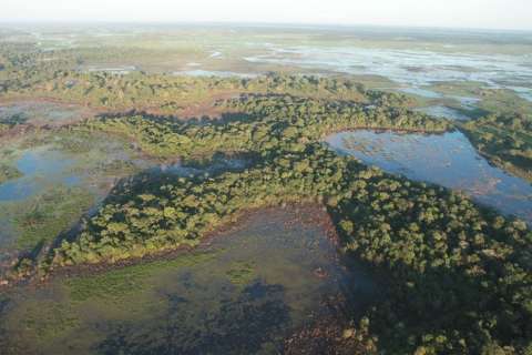 Governo cria comitê estadual para conservação da região do Pantanal