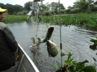 Pescadores foram flagrados pescando com petrechos proibidos. (Foto: Divulgação)