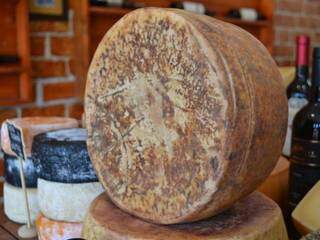 Esse queijo é o Tulhia. Leva um ano e meio para ficar pronto. (Foto: Thailla Torres)