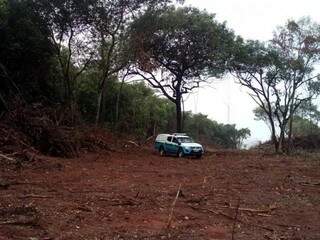 Área desmatada somou 17 hectares, segunda a PMA (Foto: Divulgação)