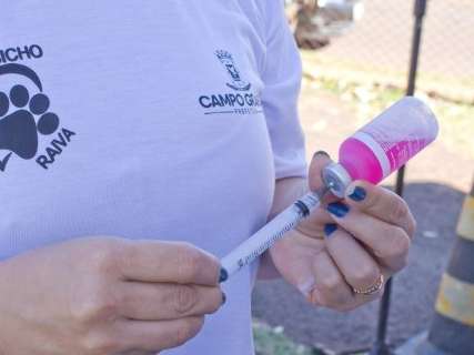 Mais de 23 mil animais já foram vacinados contra a raiva pelo CCZ