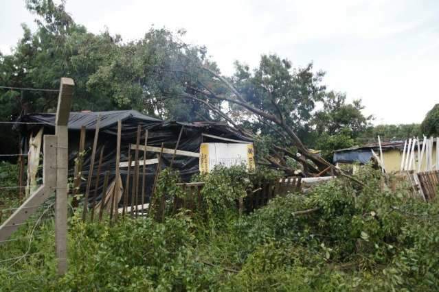 Chuva r&aacute;pida e ventania de 32 km/h causou alagamentos e derrubou 2 &aacute;rvores