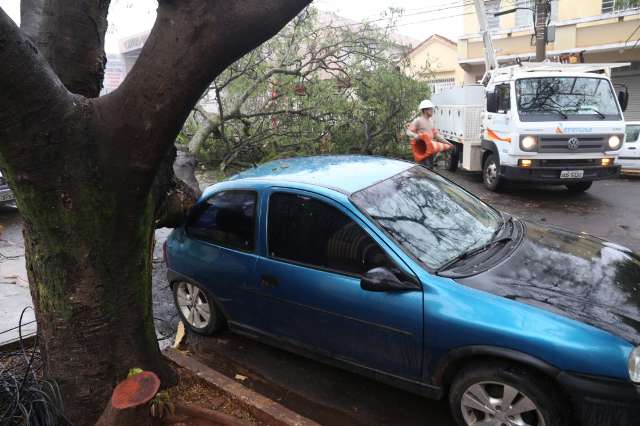 &Aacute;rvore cai, atinge carro e interdita trecho no Centro de Campo Grande