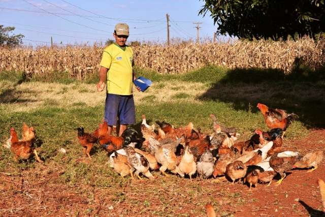 Prefeitura promete contemplar 200 pequenos produtores com casas populares