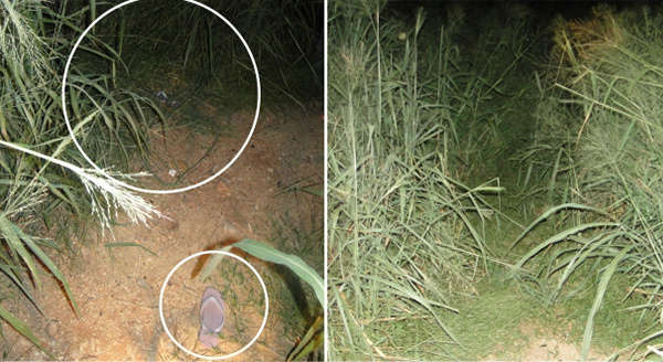  Menina de 12 anos &eacute; estuprada e morta em Corumb&aacute;