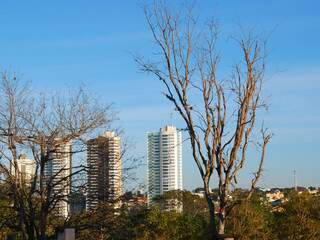 Imagem dos altos da avenida Afonso Pena: céu mostrando todo seu azul e máxima prevista de 26ºC. (Foto: Rodrigo Pazinato)