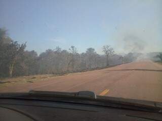 O incêndio aconteceu próximo à Coxim. (Foto: Repórter News)