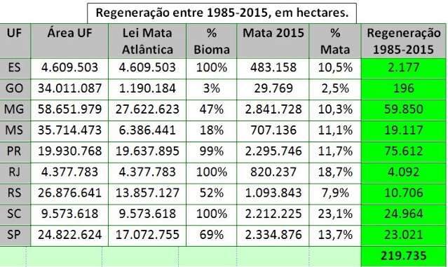 Em 30 anos, mais de 19 mil hectares de mata atl&acirc;ntica s&atilde;o regenerados em MS