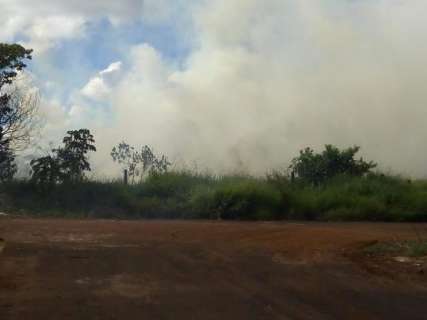 Moradores reclamam de fogo em terreno ao lado de casas na Vila Fernanda