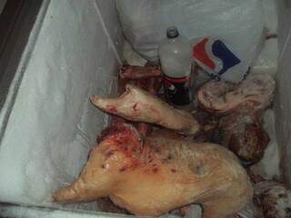 Carne de caça encontrada em freezer de fazenda. (Foto: Divulgação)