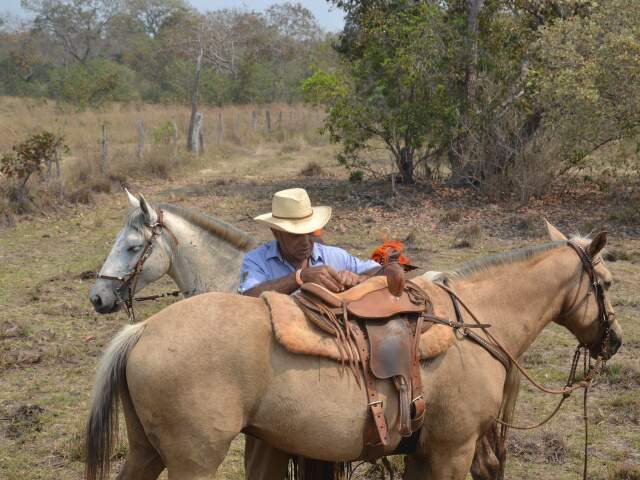 No lombo do cavalo, pantaneiro percorrerá 40 fazendas em aventura solitária  - Comportamento - Campo Grande News