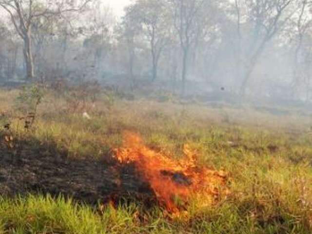  Fogo em vegeta&ccedil;&atilde;o preocupa moradores de aldeia em Sidrol&acirc;ndia