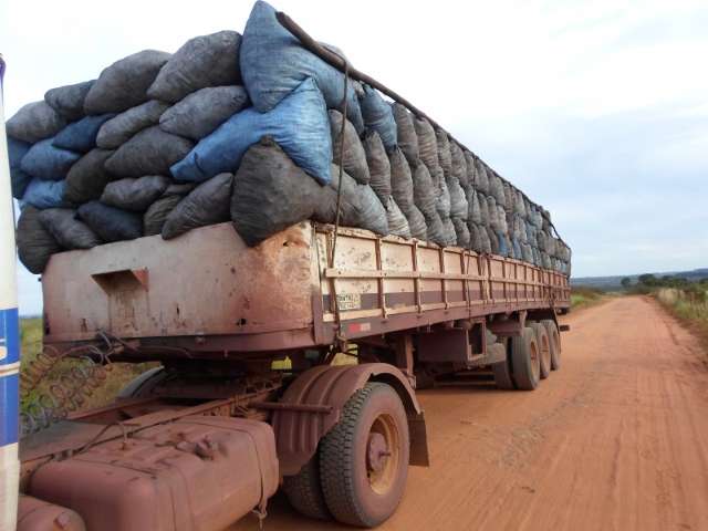 Carregamento de carv&atilde;o ilegal rende multa de 13 mil em Cassil&acirc;ndia