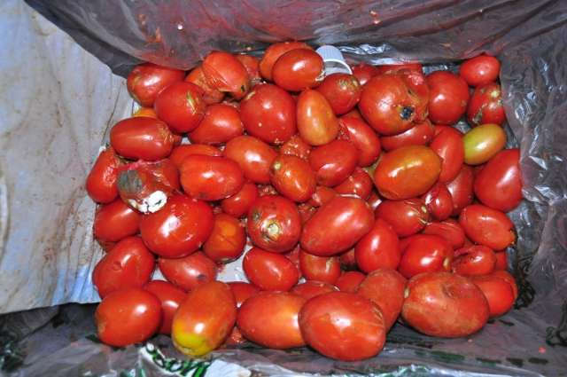 Batata anula efeito de greve de caminhoneiro e cesta fica mais barata