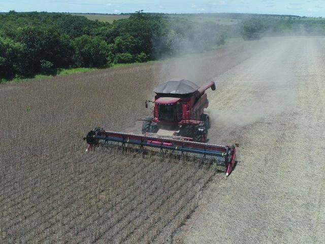 Munic&iacute;pio de MS dobra &aacute;rea plantada de soja ao adotar rota&ccedil;&atilde;o com pastagens