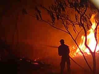  Inc&ecirc;ndio destr&oacute;i parte de &aacute;rea de preserva&ccedil;&atilde;o ambiental; veja v&iacute;deos