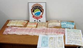 Dinheiro e cheques furtados foram recuperados. (Foto: Divulgação)