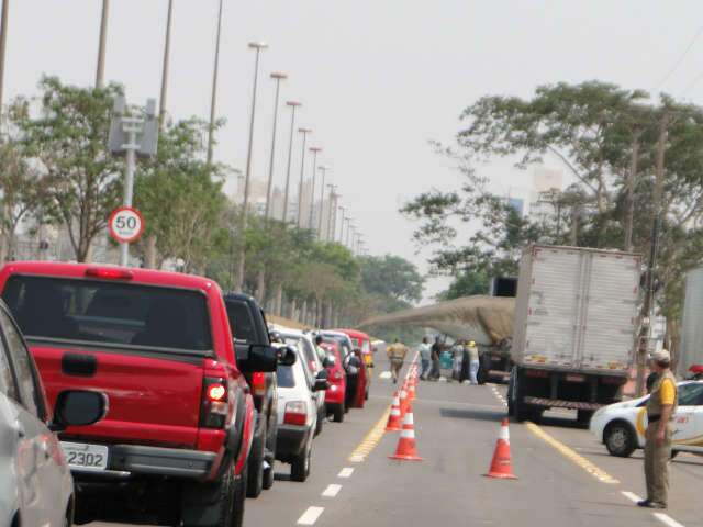  Rabo de dinossauro no meio da Afonso Pena desperta curiosidade de motoristas