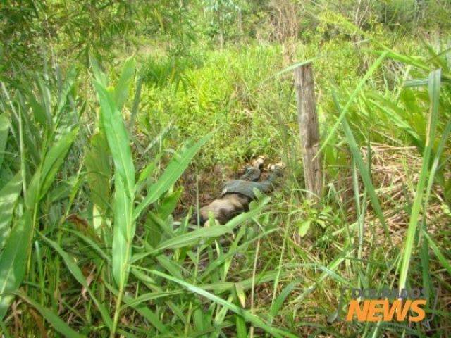 Corpo em decomposi&ccedil;&atilde;o &eacute; encontrado em fazenda de Dourados
